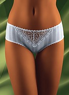 Hipster panty with stripes and embroidered lace